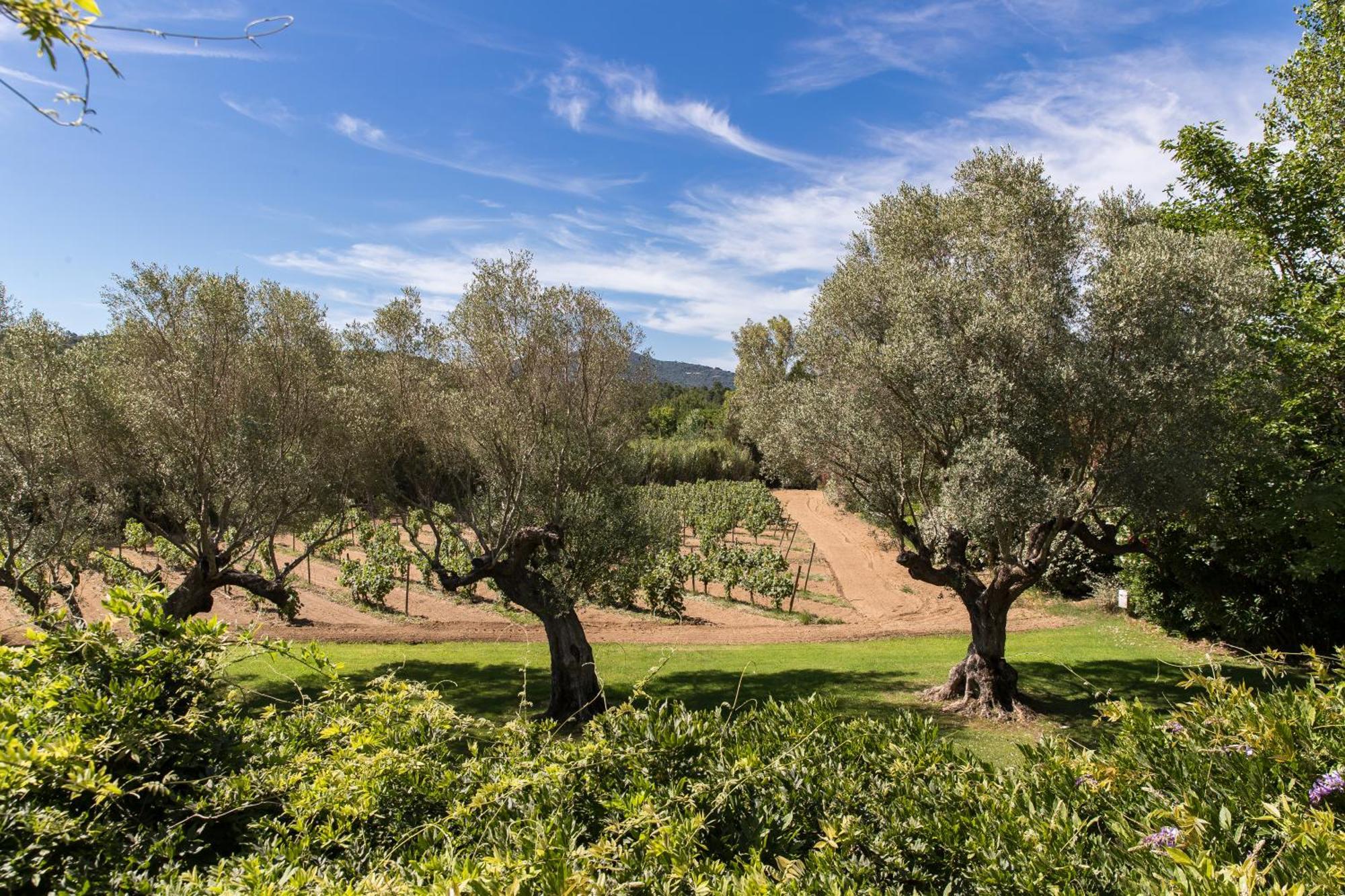Gasthuis Domaine Les Mesanges 3*